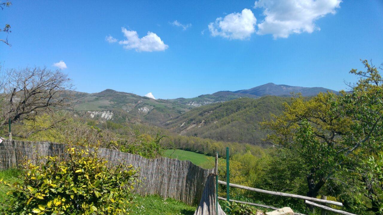 Agriturismo Corvaia Радикофани Екстериор снимка